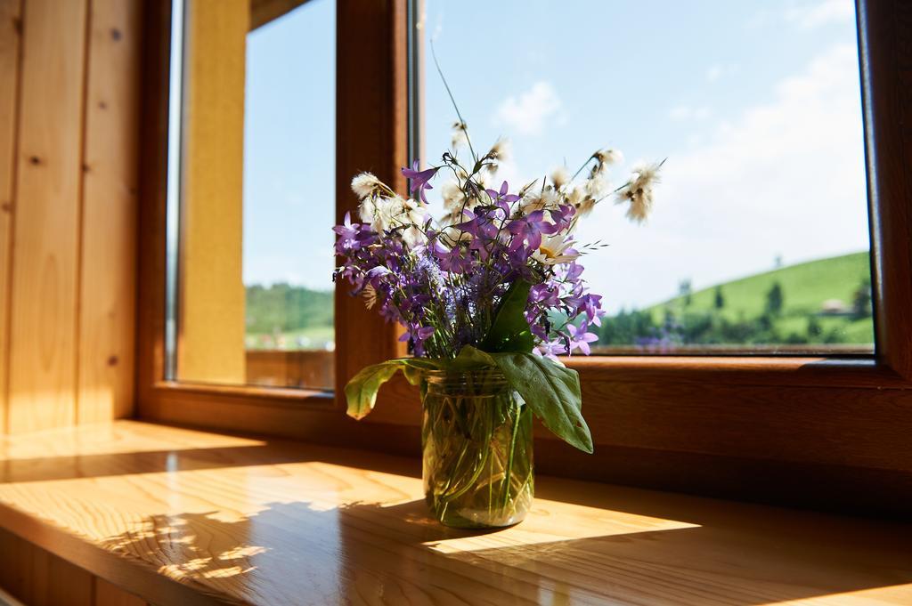 Panskyi Kut Villa Bukovel Kültér fotó